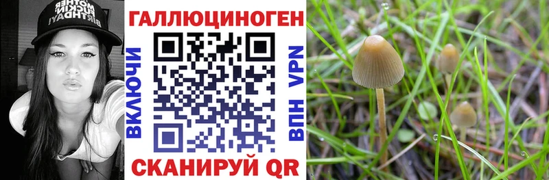 Псилоцибиновые грибы Magic Shrooms  где продают наркотики  Елец 